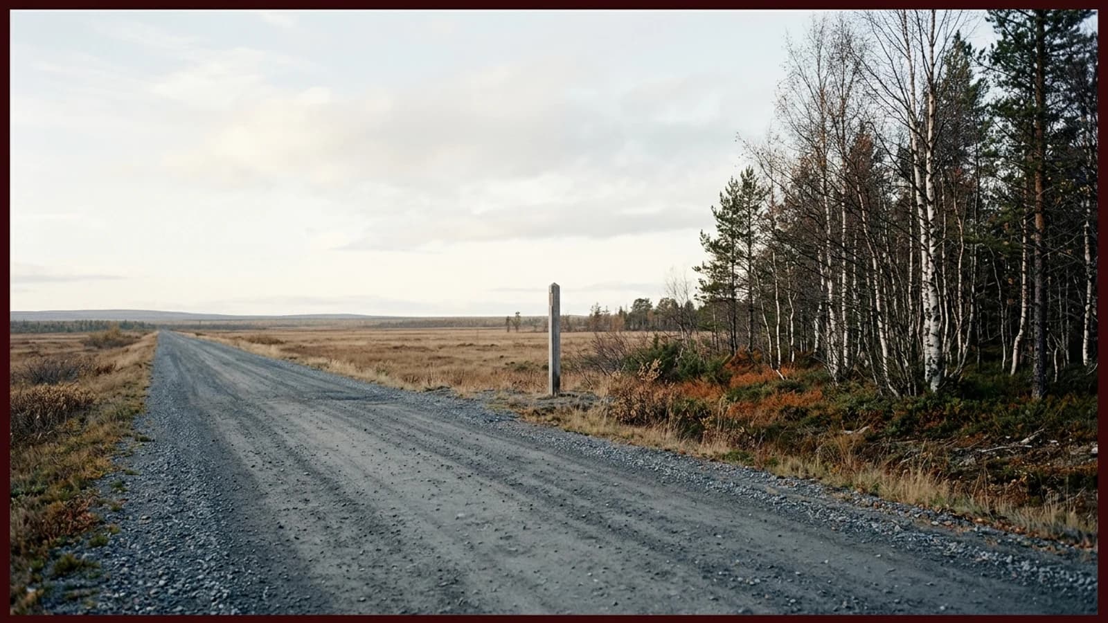An empty road running to a flat horizon under a pale northern sky, birch woods to one side and an unmarked boundary post at the roadside.